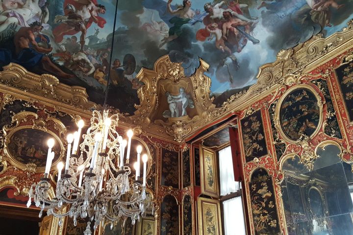 Turin Royal Palace Family Tour image