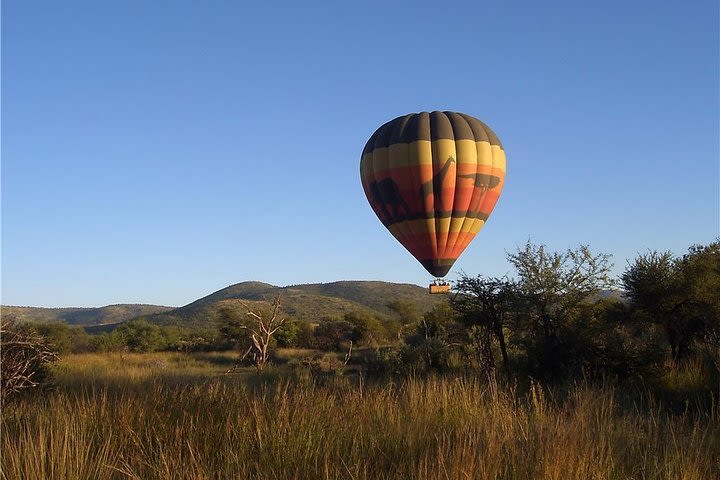 Full-Day Pilanesburg Nature Reserve Tour image