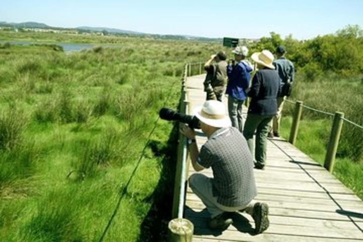 Birdwatching from Porto image