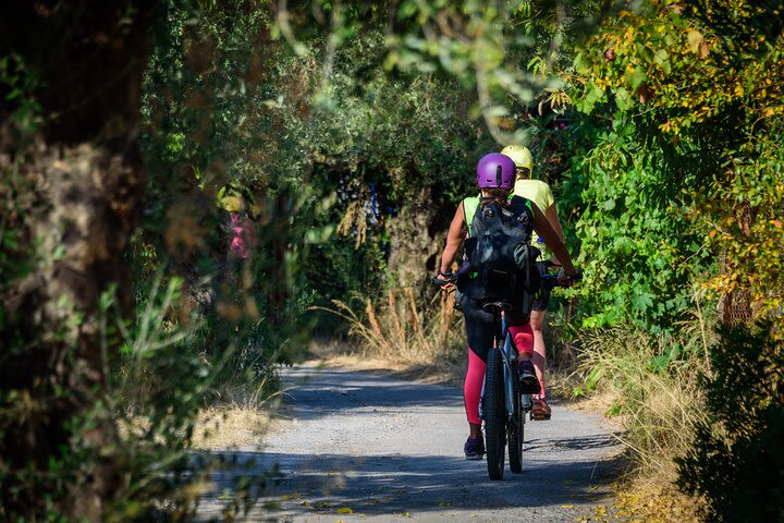 Cycling around Gialova Lagoon image