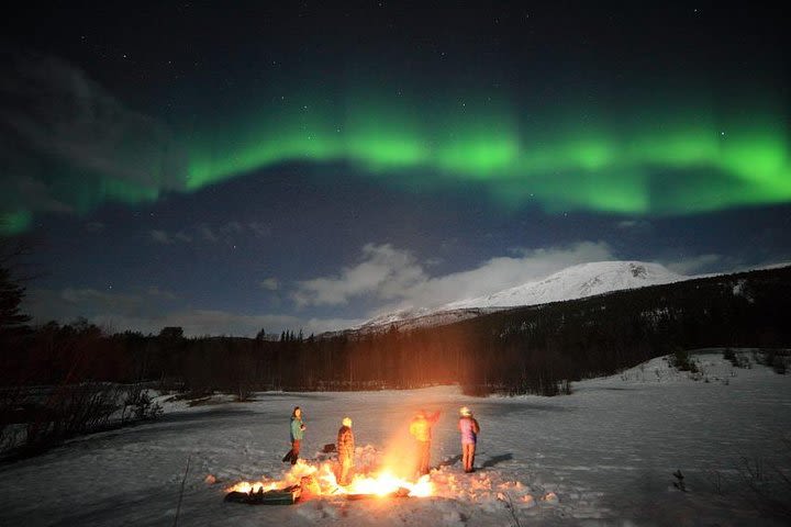 Northern Lights Tour Including Photos Under the Lights in Tromso image