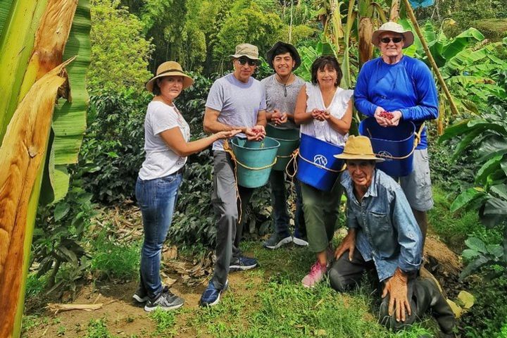 Coffee Private Tour in the beautiful Jardin town (Full-Day) image