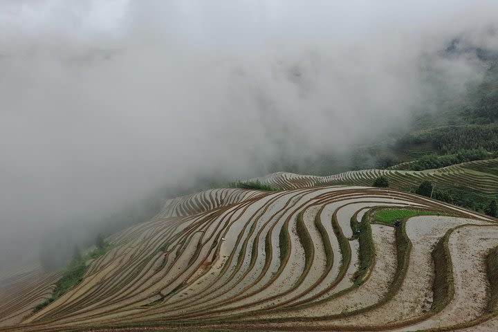 Private Day Tour: Longji Rice Terraces and Long Hair Village image