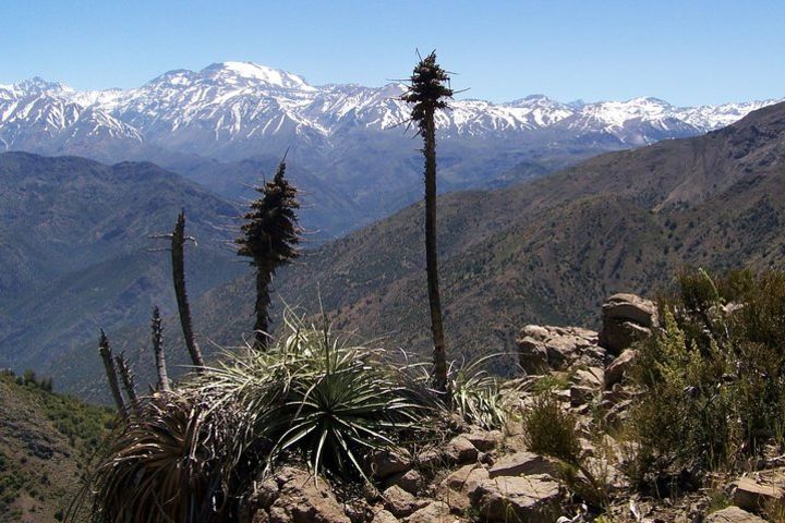 Half-Day Private Andes Hiking Tour from Santiago, carbon neutral. image