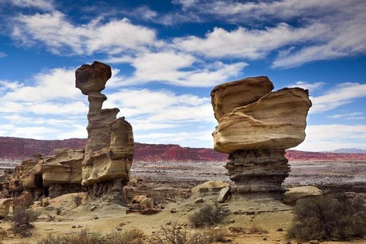 Ischigualasto Provincial Park Day Trip image