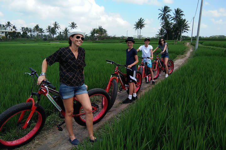Half-Day Fat Tire Electric Bike Tour from Ubud image