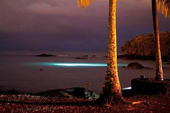 Certified Beach Night Dive image