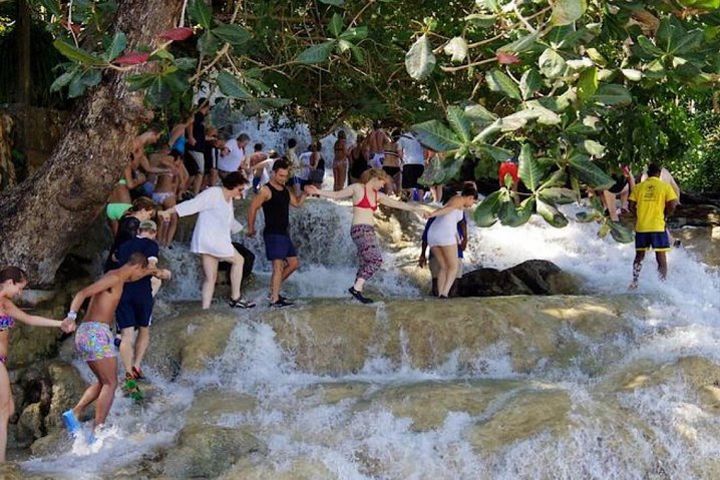 The Amazing Dunns River Falls (Private Tour) image