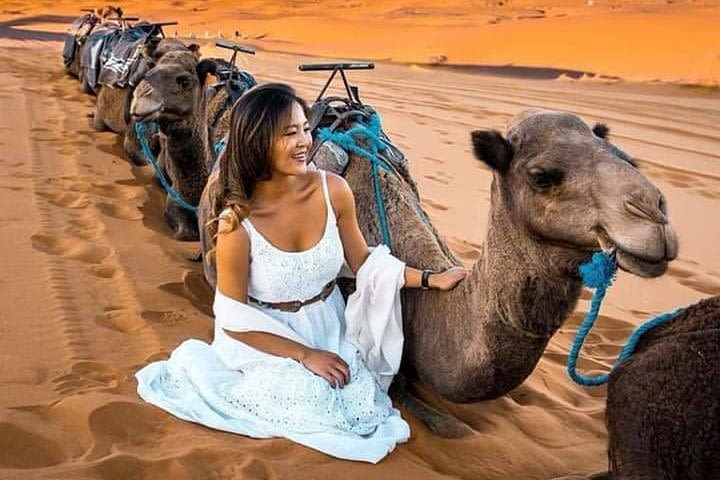 Overnight Desert Tour from Fez with Camel Ride and Desert Camp image