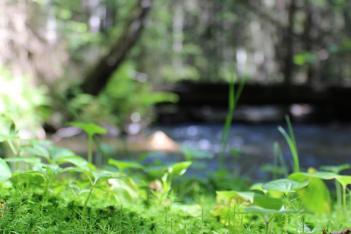 Oslo Hiking - Great lake tour image