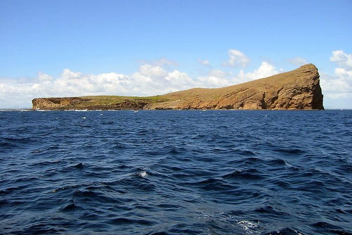 Full-Day Northern Catamaran Cruise: Coin de Mire and Ile Plate Island image