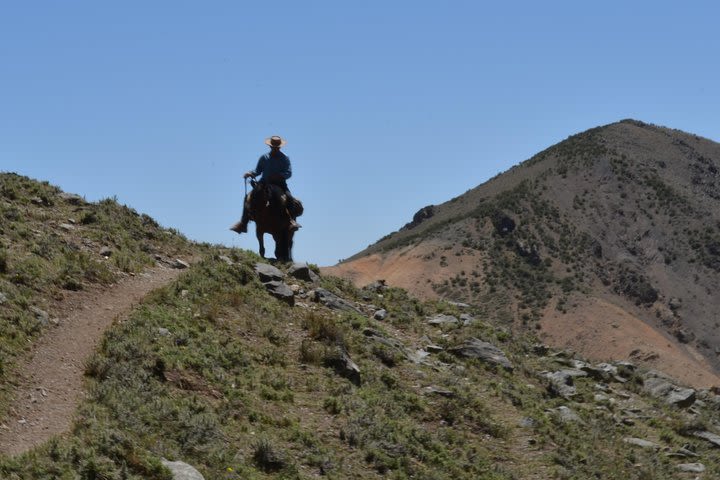 Andes Horseback Riding, local experience & BBQ image