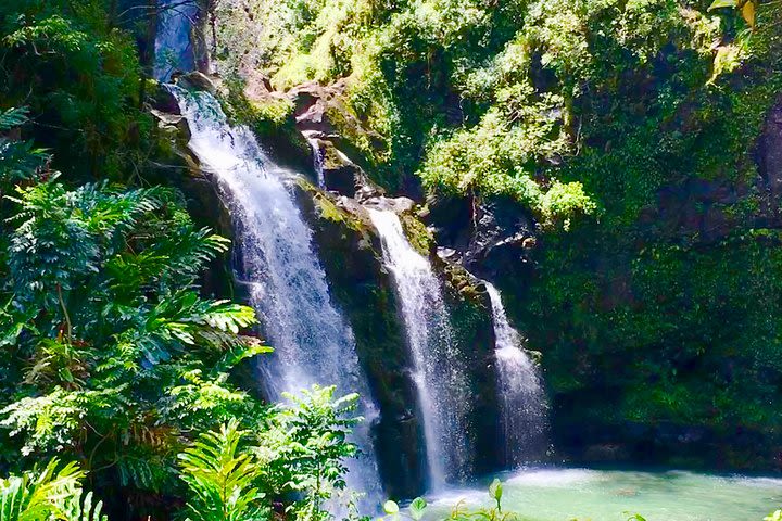 Private Road to Hana Tour image