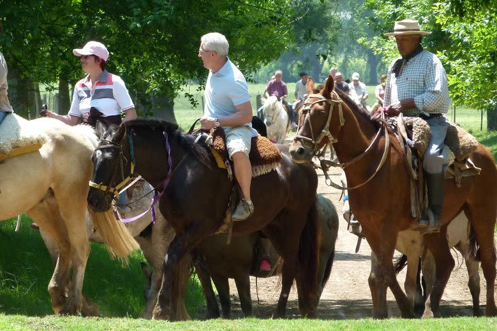 Gaucho Day with Estancia and Areco town image