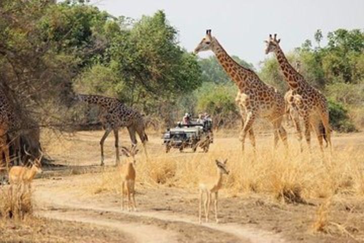 3 Days Lodging Safari  image