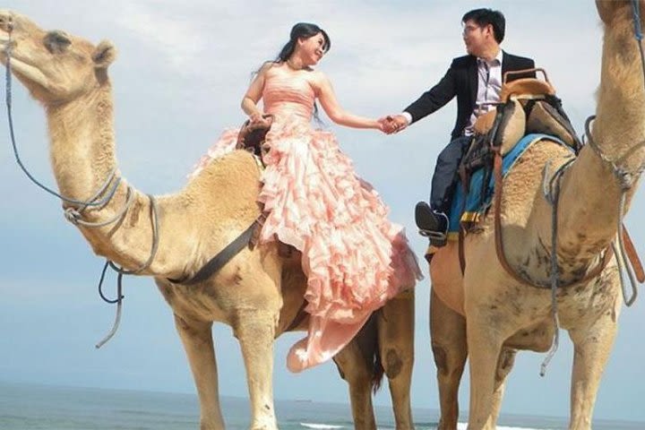 Private Tour Bali Camel Safari One Hour-Water Sport And Lunch At Jimbaran Beach image