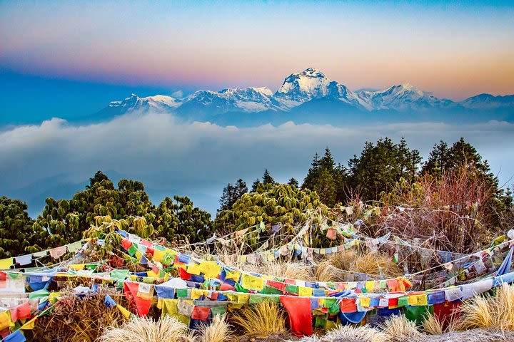 Ghandruk Ghorepani Poonhill Trek image