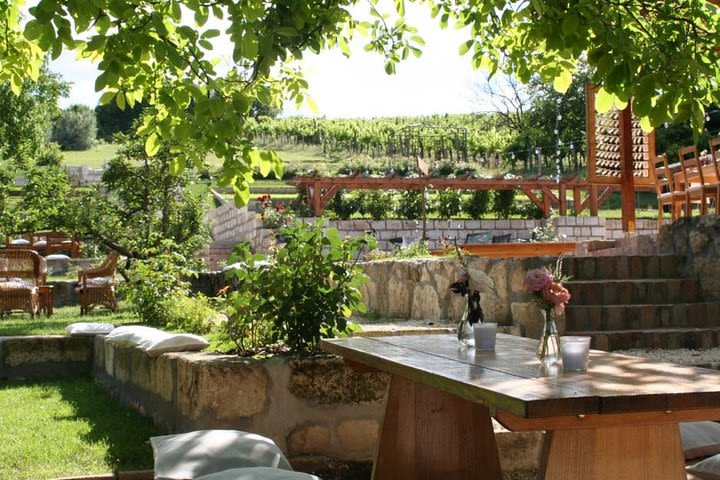 Private wine tasting in the countryside near Budapest image