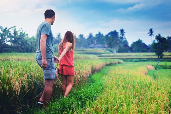 Bali - Nature - Rice Terrace - Waterfall - Coffee and Temple Tour image