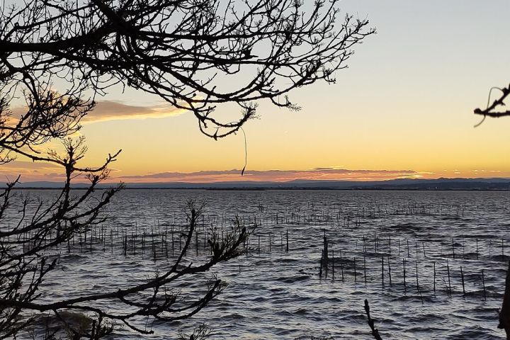 Albufera Natural Park Tour image