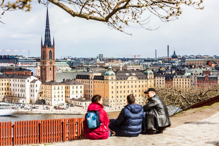 Stockholm Private Custom Tour with a Local Guide, Highlights & Hidden Gems ★★★★★ image