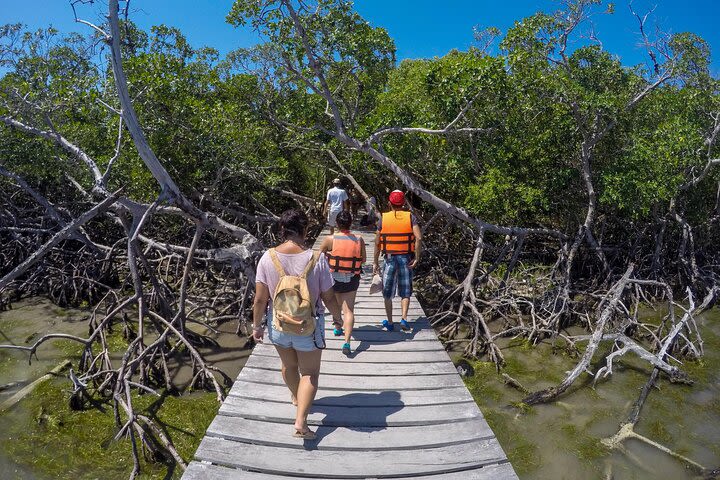 Holbox Island Private Tour image