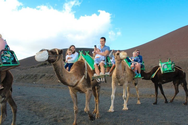 Camel ride in timanfaya national park image