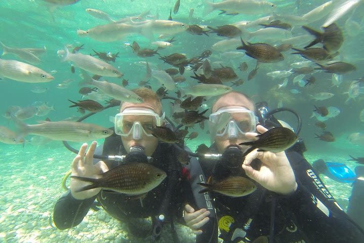 Scuba Diving from Dalyan image