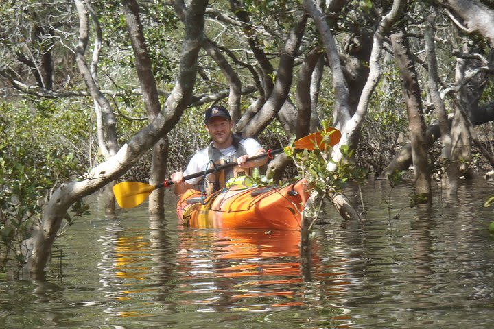 Pittwater Discovery Kayaking Tour image