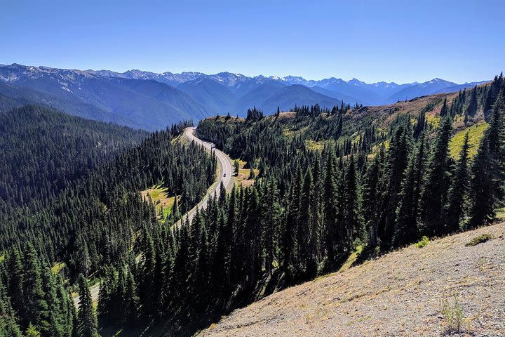 Olympic National Park Luxury Small-Group Day Tour with Lunch image