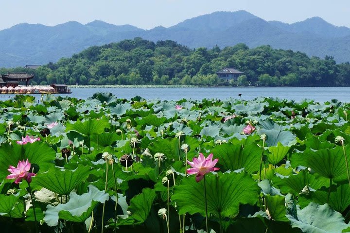 Classic Hangzhou Day Tour (West Lake, Lingyin Temple, Dragon Well Tea Village) image