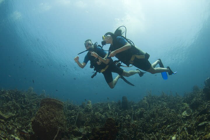 Diving in Rosario Islands Cartagena image