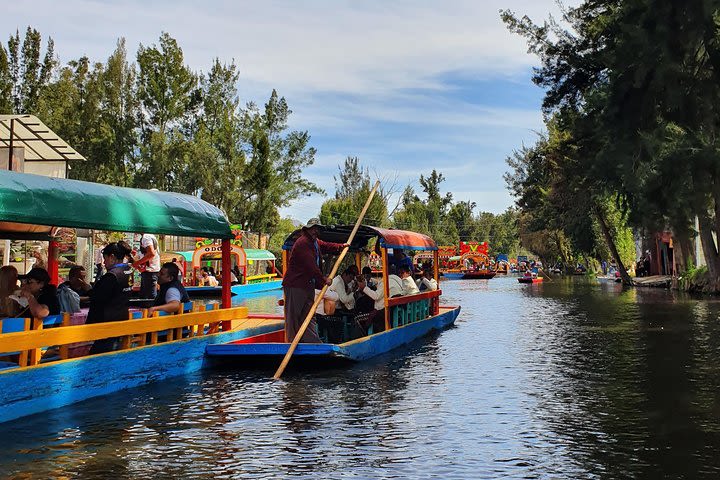 Xochimilco and Dolores Olmedo Museum Tour image