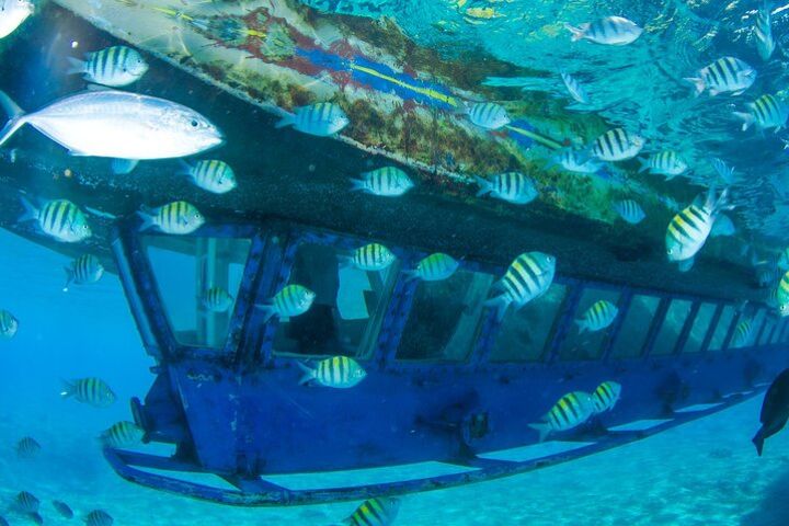 Glass Bottom Boat in Cancun image