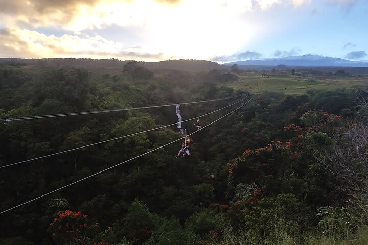 Big Island Zipline Adventure - 2 1/2 hours image