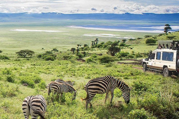 Ngorongoro Crater Day Trip image