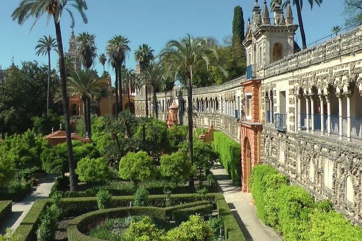  From Malaga: Private 3 Daily Tours to Cordoba, Granada and Seville image