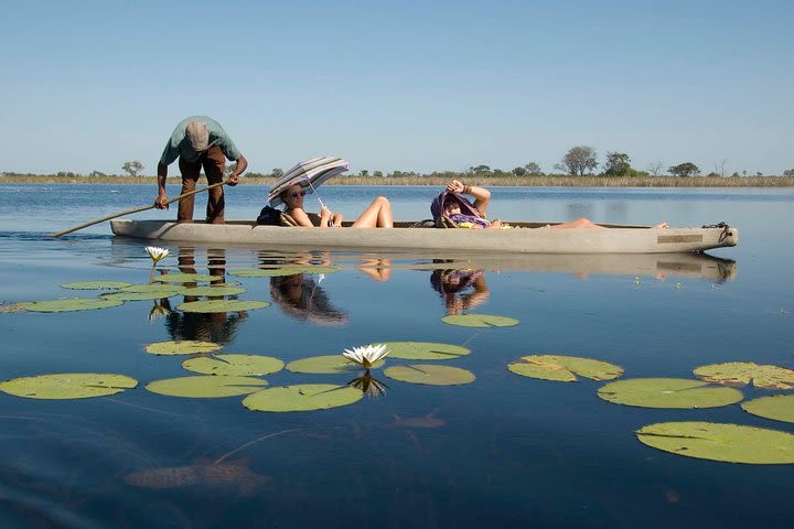 8-Day Chobe and Okavango Delta Tour from Victoria Falls image