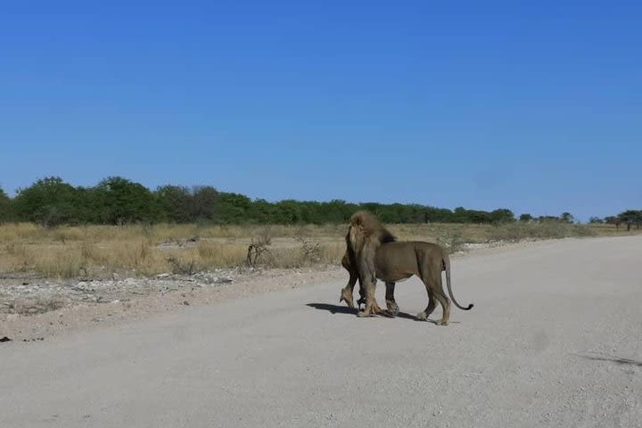 12 Days Self Drive Tour Namibia In Plus image