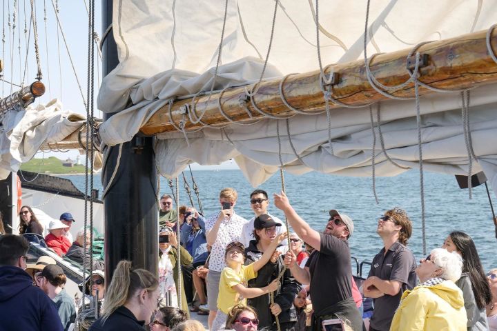 Tall Ship Silva Cruise - Family-friendly (Halifax, CA) image