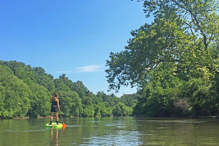 7 Mile Guided Paddleboard Tour On The French Broad River in Asheville image