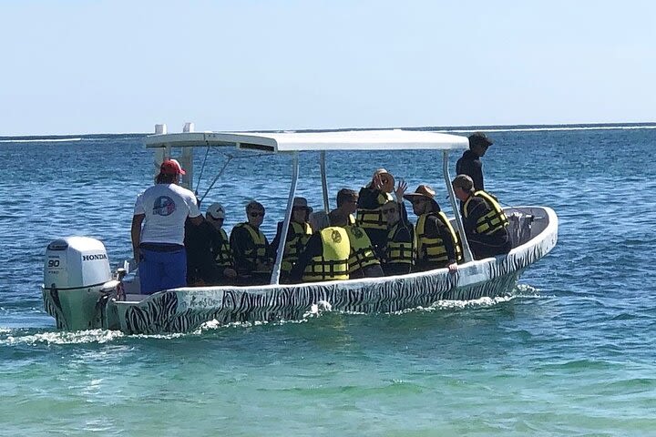 Small-Group Mesoamerican Barrier Reef Snorkeling in Puerto Morelos image