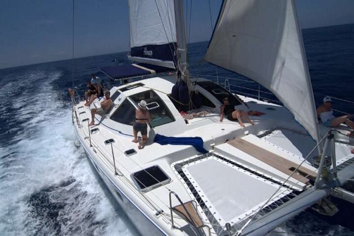 Tenerife Whales and Dolphins Watching Experience in Catamaran image