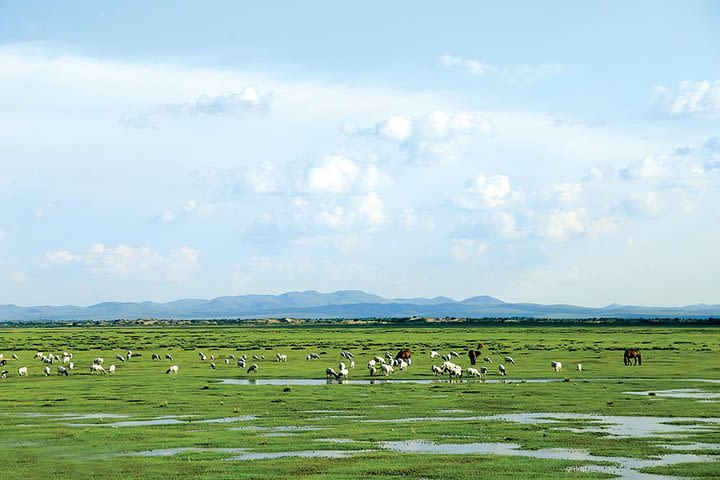 Hustai national park - Wildlife photo tour image