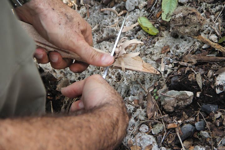 Bushcraft class image