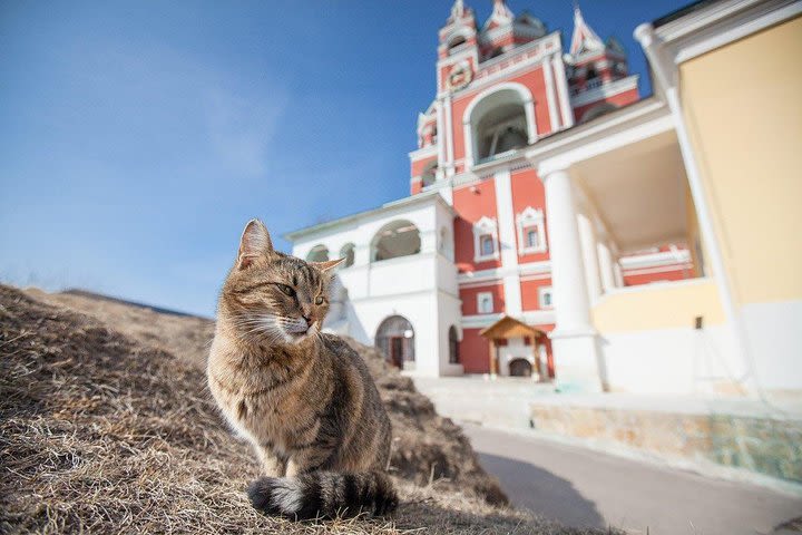 Zvenigorod tour (Moscow countryside) image