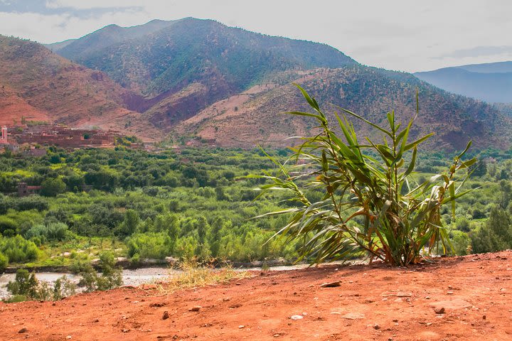 Ourika Valley Day Tour From Marrakech image