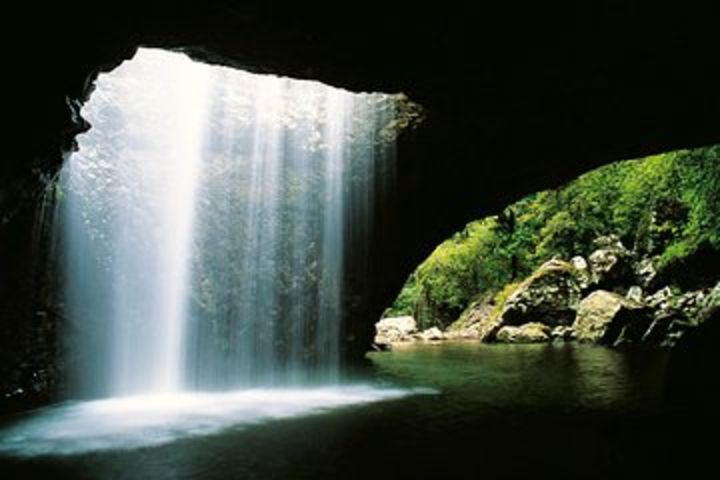 Natural Bridge & Springbrook Waterfalls Tour image