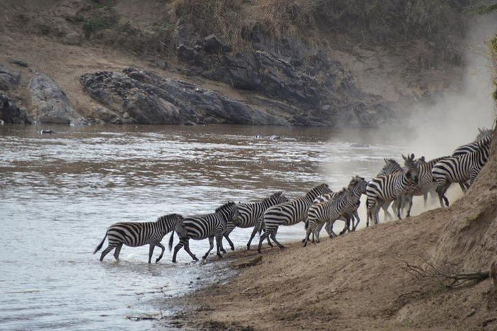 2 Nights 3 Days Fly Safari to Serengeti National Park from Zanzibar image