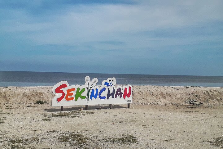 Paddy Field, Fishing Village Sekinchan DAY Tour Lunch (SIC-Shared/Join In Tour) image